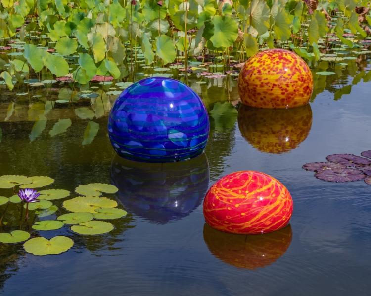 Balls in the koi pond