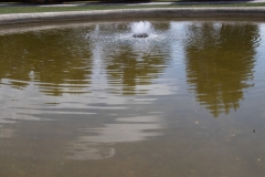 Reflecting pond in front of the estate