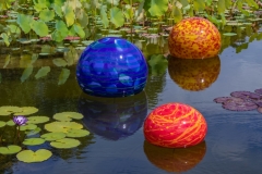 Balls in the koi pond